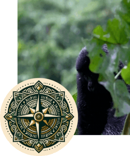 gif with gorilla and logo