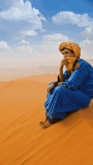 gif with images of gorilla morocco elephant