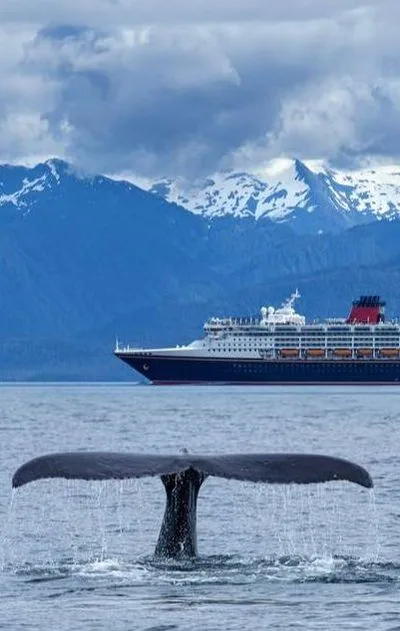 expedition cruise Alaska with mountains and a whale tail