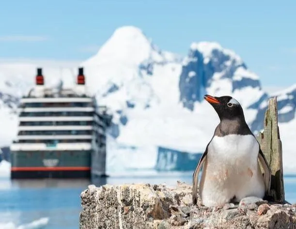 penguin and expedition ship in Antarctica