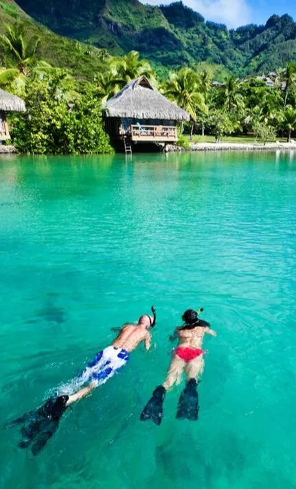 snorkelers in tropical waters